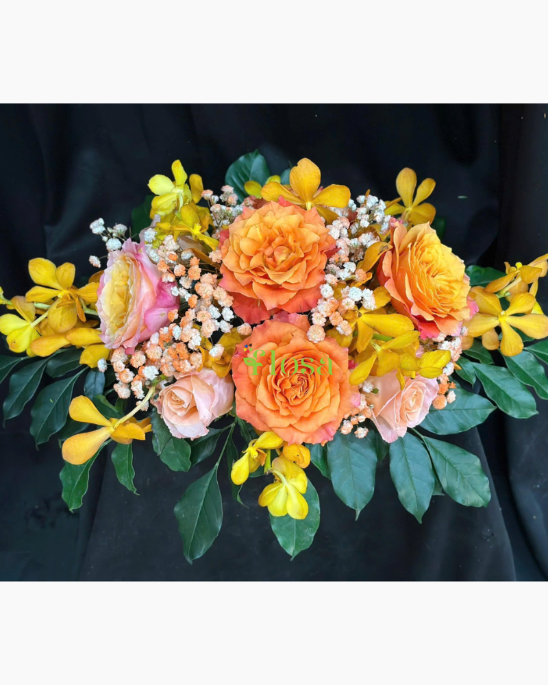  Sắc Cam Hào Quang - BPB15 