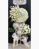  Vòng Tròn Từ Biệt - HTL174 