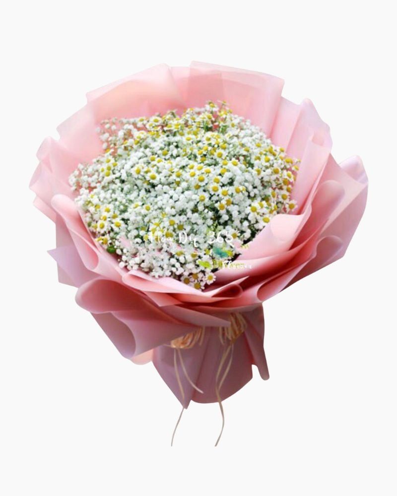  Tana Và Baby - HBT73 - Hoa tặng Mẹ 