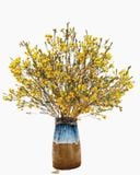  Tết Ấm Áp - HCB58 - Hoa Chưng Tết 