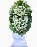  Thanh Tịnh - HTL42 - Vòng Hoa Đám Tang 