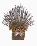  Thảo Dược Tình Yêu - LVD06 