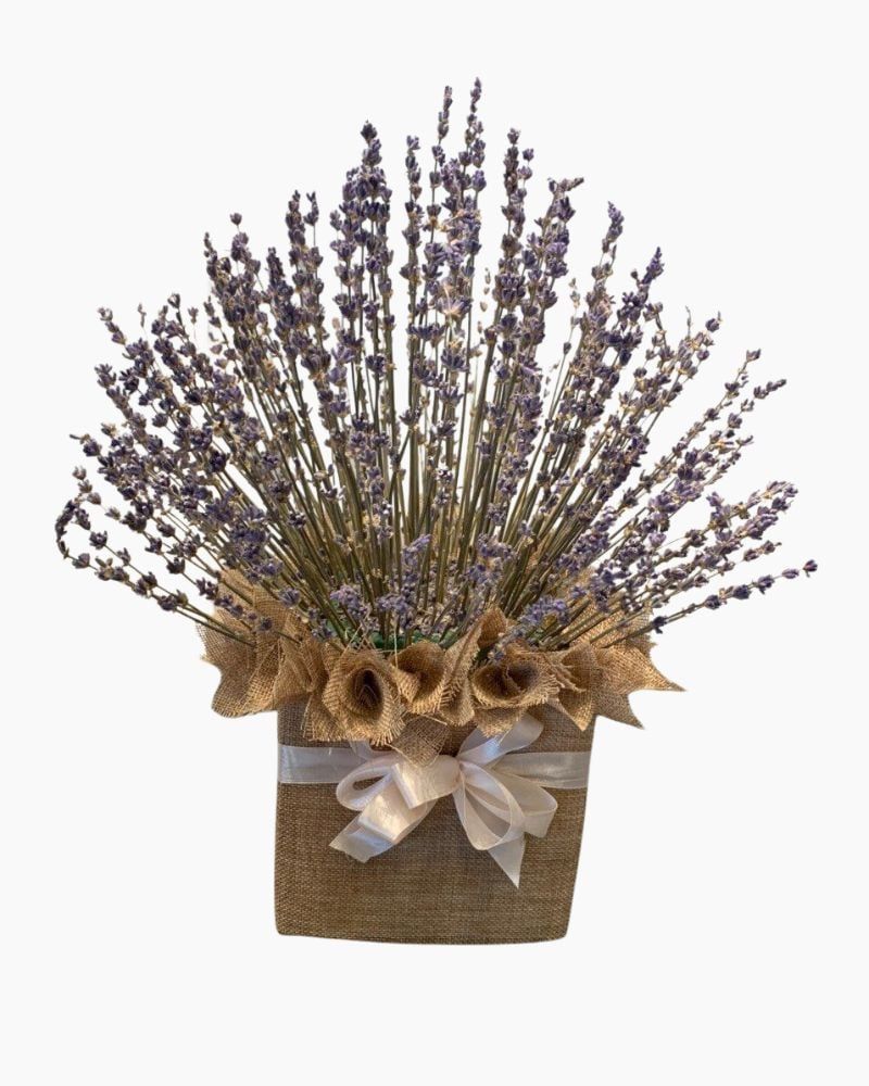  Thảo Dược Tình Yêu - LVD06 