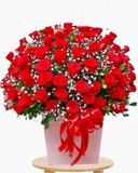  Thương Lắm - HCH92 