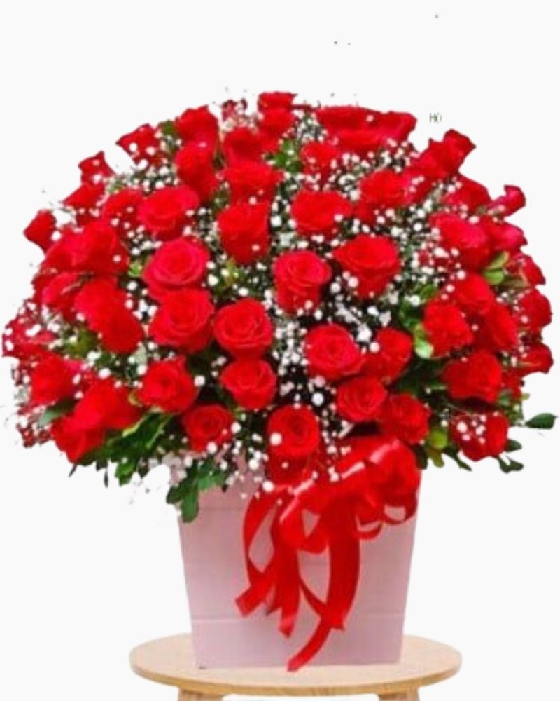  Thương Lắm - HCH92 