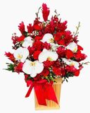  Hộp Hoa Tiếp Bước - HCH48 