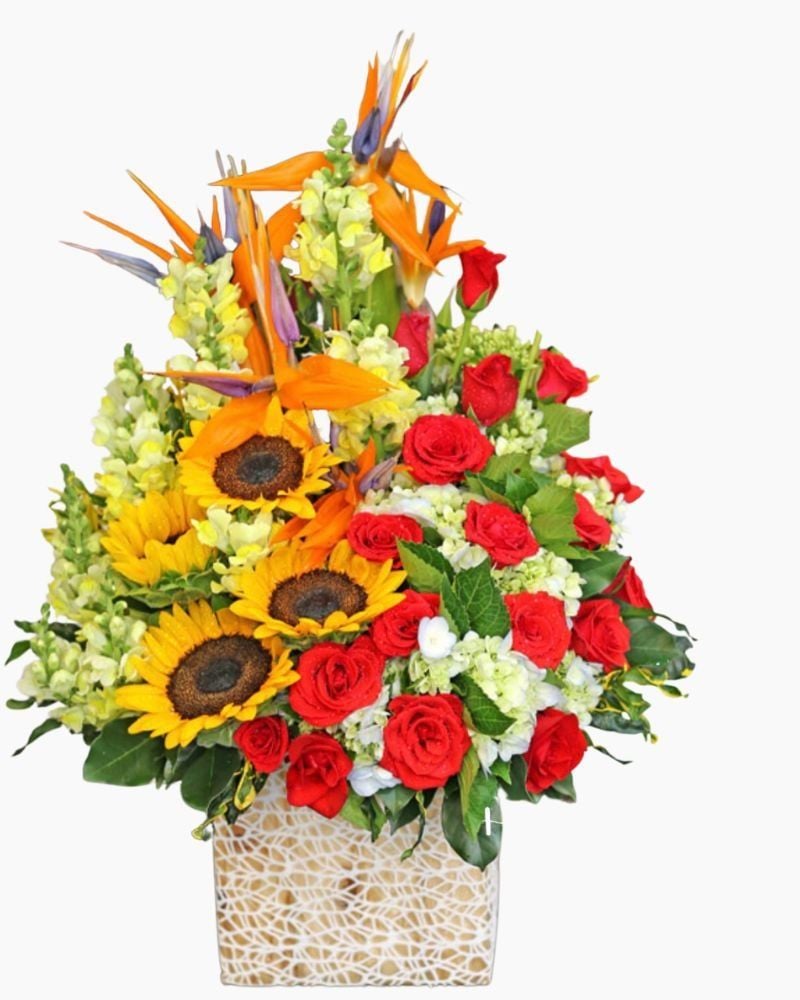  Tình Yêu Màu Nắng - HCH42 