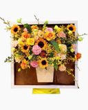  Giá Tranh Toả Sáng - TH10 