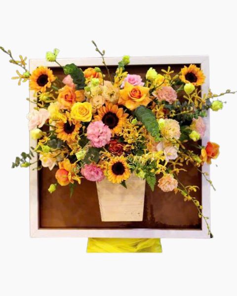 Mẫu Hoa Lan Tươi Đẹp: toa-sang-th10