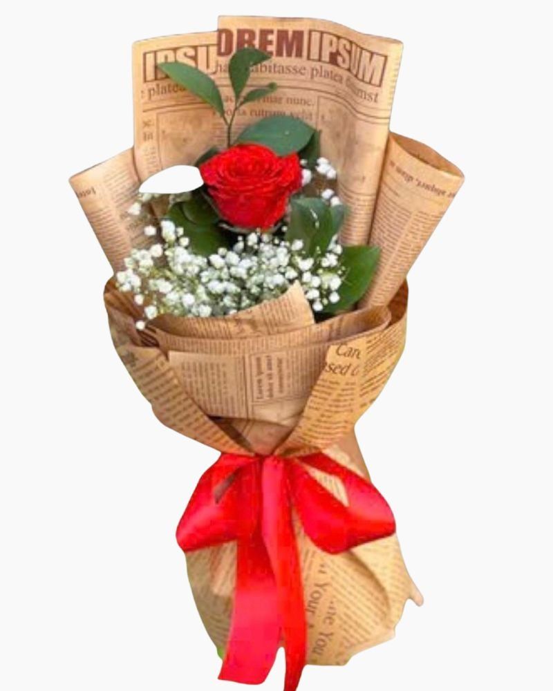  Bó Hoa Hồng Trà Sữa Nha - HBD74 