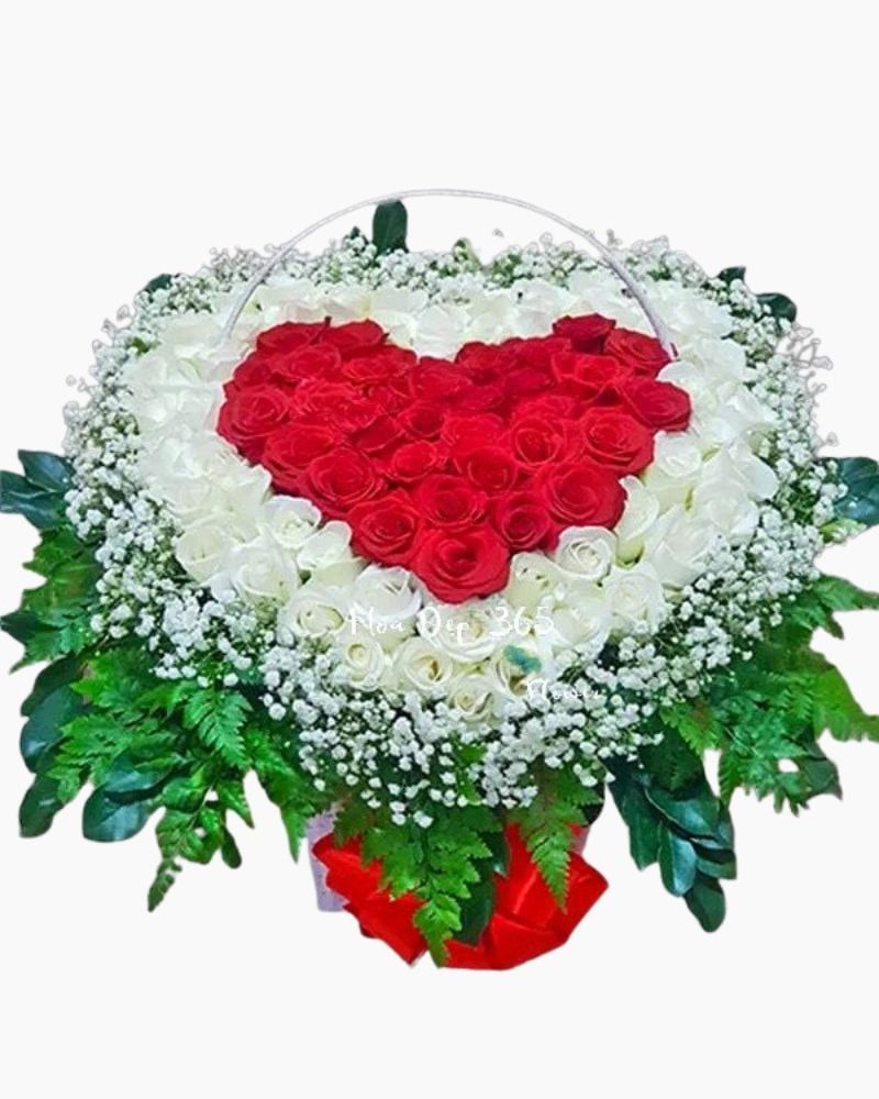  Trái Tim Bất Tận - HG55 