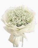  Vĩnh Cửu - HBT68 - Hoa 20/10 