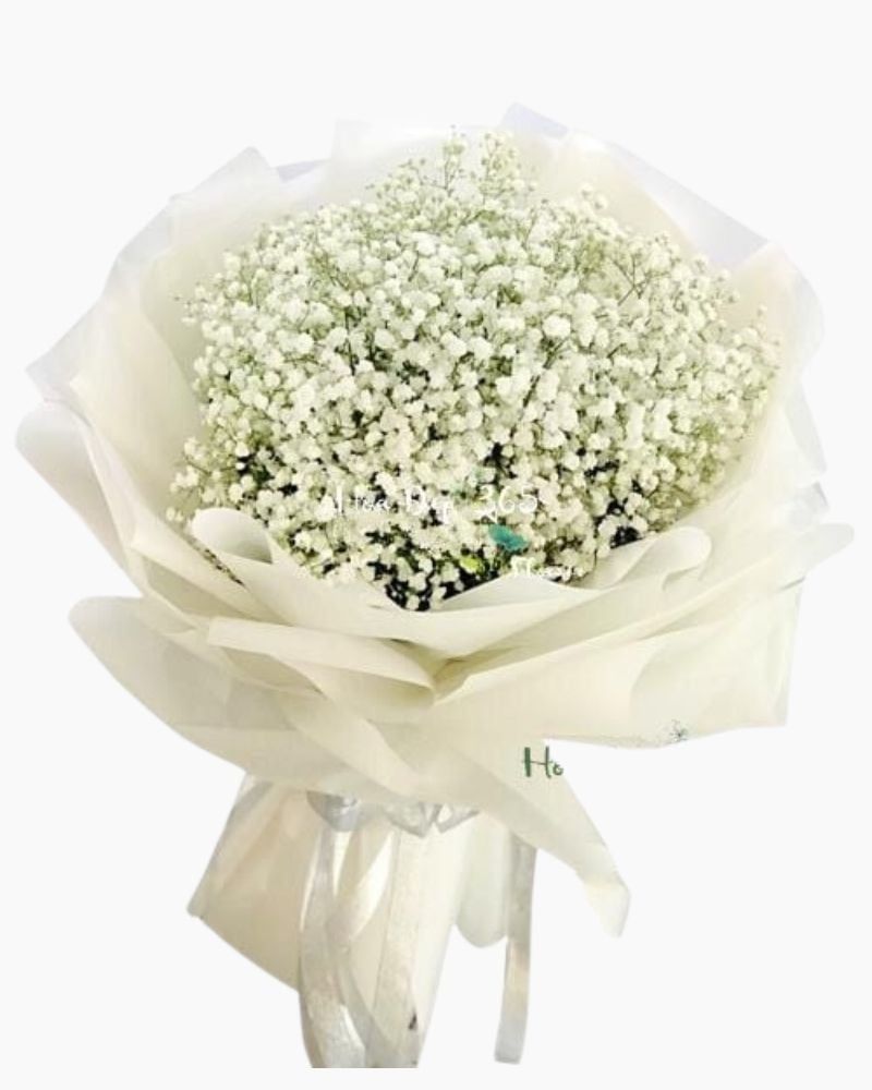  Vĩnh Cửu - HBT68 - Hoa 20/10 