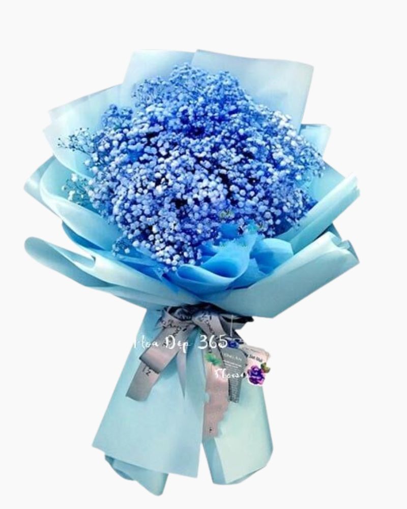  Với Anh Em Là Bầu Trời - HBD101 