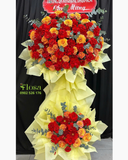  Sắc Đỏ Yêu Thương - HCM81 