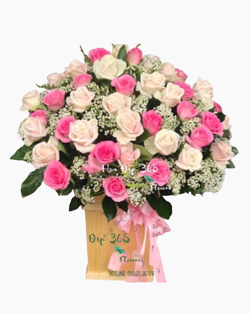  Xinh Tươi - HCH69 - Hoa Hồng 20/10 - Hoa Hồng Pastel, Hoa Hồng Sen và Hoa Ami 