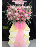  Kệ Hồng Xinh Yêu - HCM103 