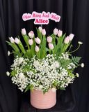  Hộp Hoa Xuân Hồng Thanh Khiết - Hoa 20/10 - HH59 