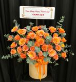  Hộp Hoa Ngọn Lửa Thành Công - Hoa 20/10 - HH61 