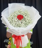  Bó Hoa Trái Tim Trong Sương - Hoa 20/10- HBT93 