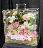  Hộp Hoa Nắng Hồng Trong Suốt - Hoa 20/10 - HH58 