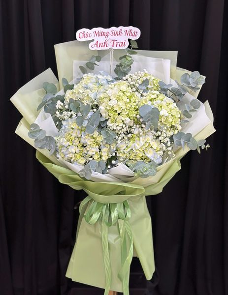  Bó Hoa Cẩm Tú Cầu Mơ Giữa Trời Thu-  Hoa 20/10 - HBD282 