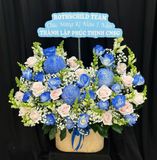  Hộp Hoa Thịnh Vượng Xanh - Hoa 20/10 - HH62 