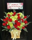  Hộp Hoa Lộc Phát Đỏ Rực - HCH118 
