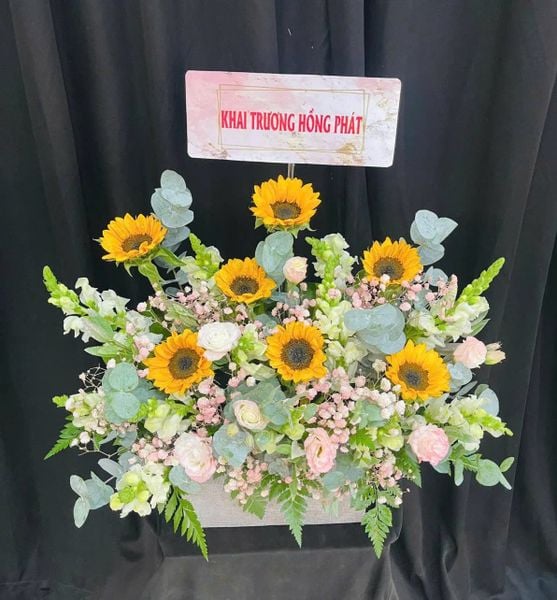 Hoa tặng người yêu đẹp nhất, bó hoa tặng bạn gái lãng mạn ý nghĩa: Hộp Hoa Sunflower Harmony - HH70