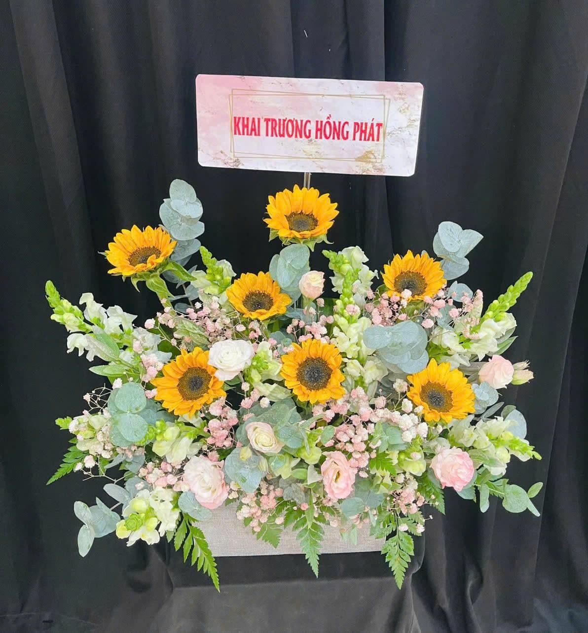  Hộp Hoa Sunflower Harmony - HH70 