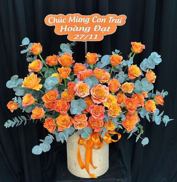 Sắc Cam Thịnh Vượng - HH66