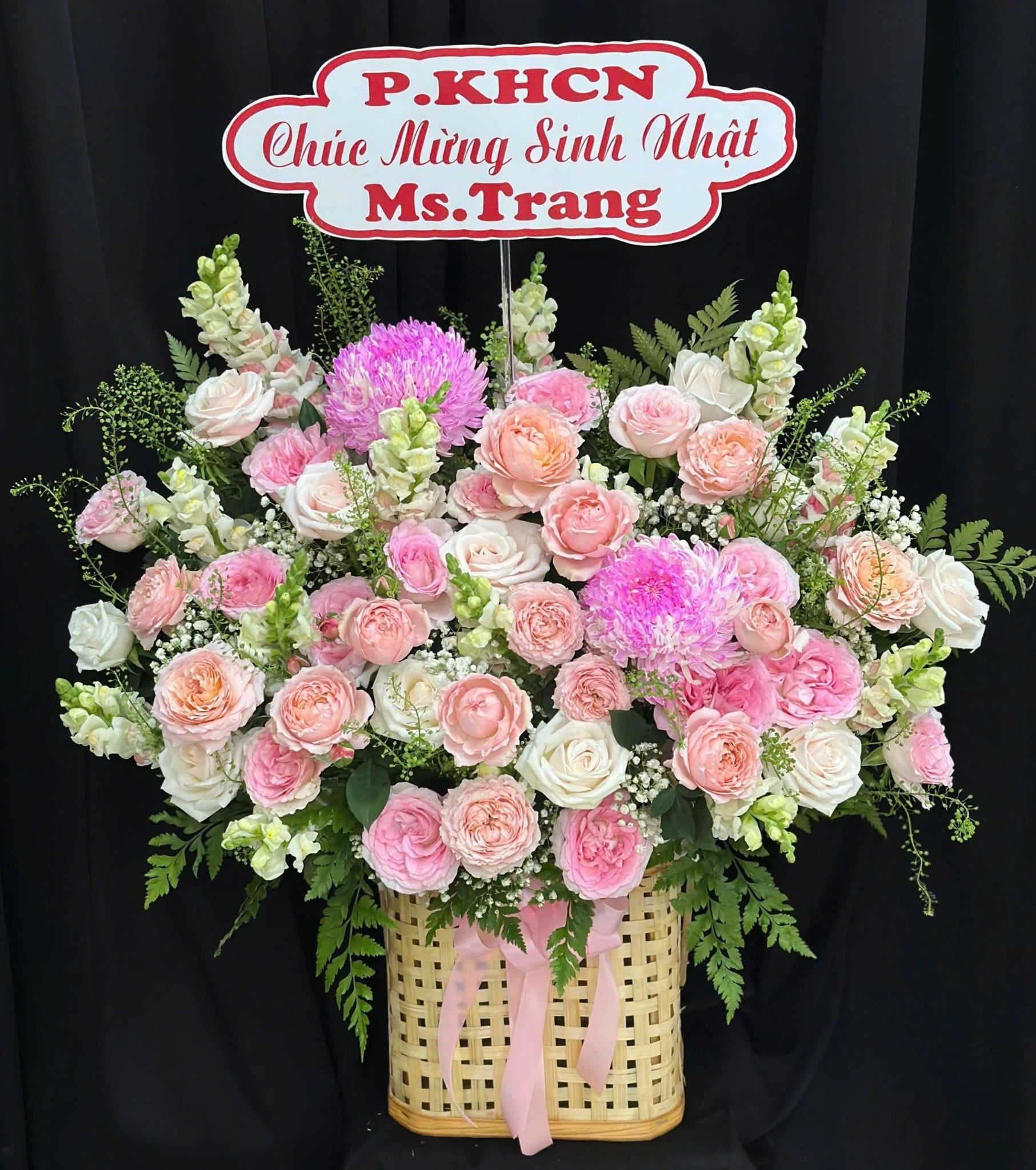  Hoa Hộp Khu Vườn Ban Mai - HH200 