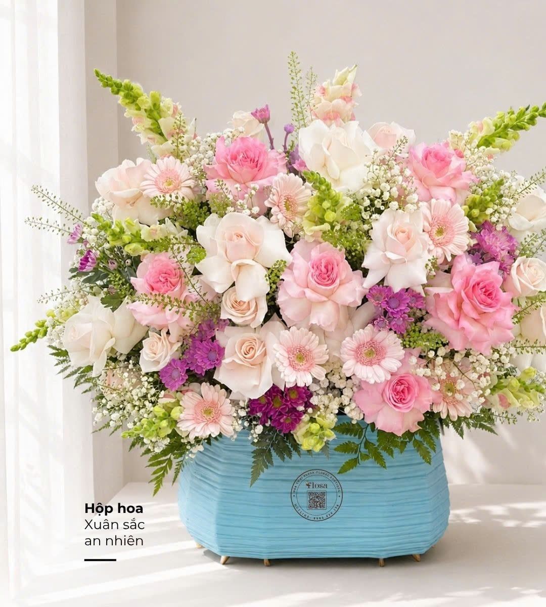  Hoa Hộp Xuân Sắc An Nhiên - HH203 
