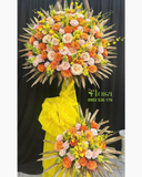  Hương Cam Ngọt Ngào  - HCM84 