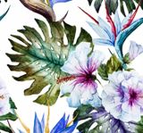  CAS 20-20001 