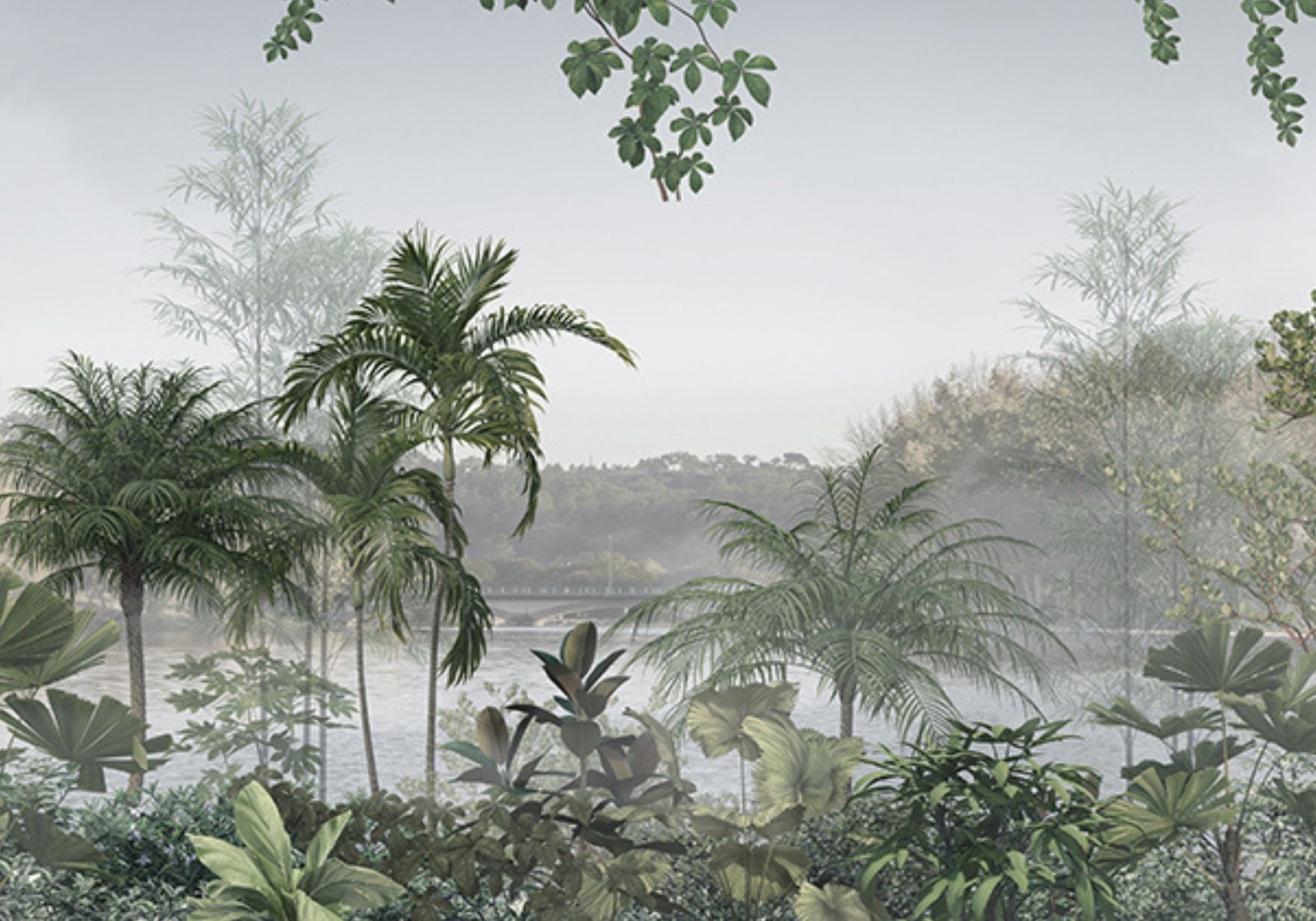  CAS 20-21155 