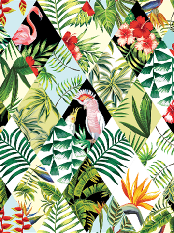 TRANH DÁN TƯỜNG IN THEO YÊU CẦU - JUNGLE & TROPICAL