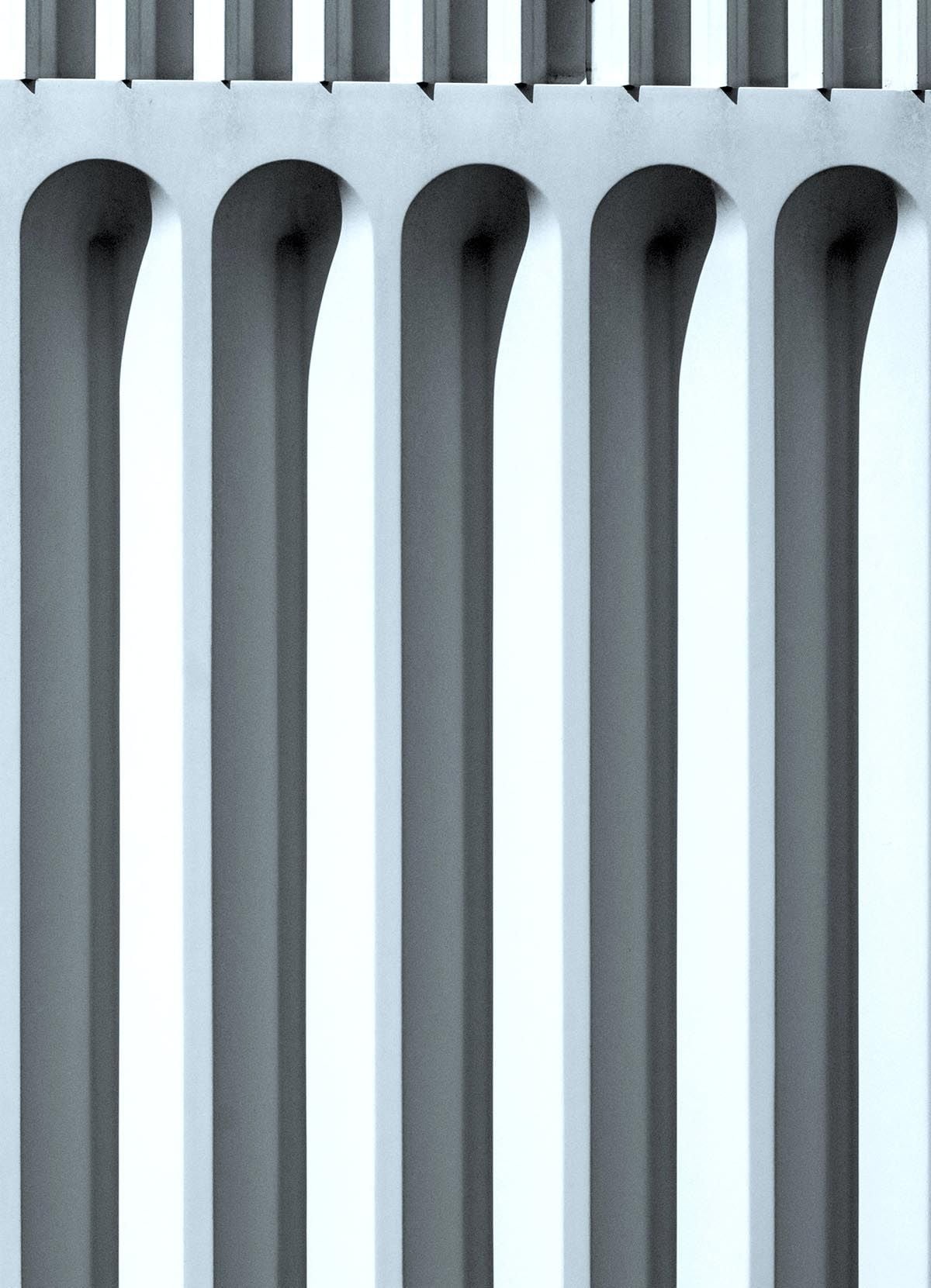  DPT 20-20063 