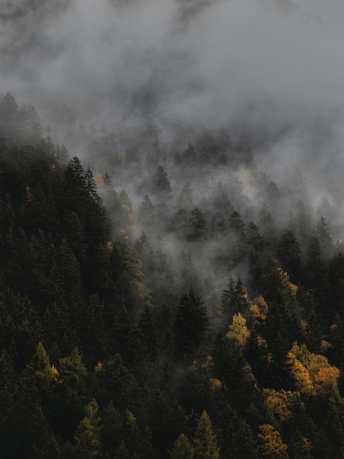  DPT 20-20074 