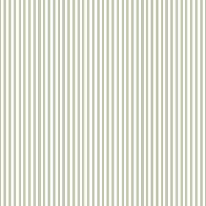  HAP 285135 