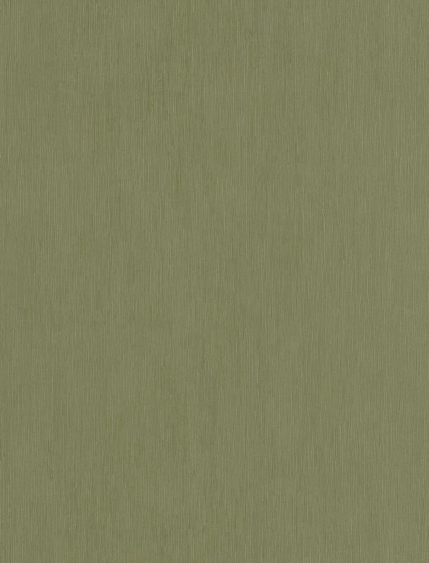  HNN 4797472060 