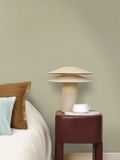  NAT 4898423988 
