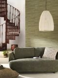  SOR 498853004 