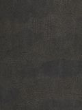  SOR 498863031 