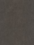  SOR 498990091 