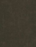  SOR 499740001 