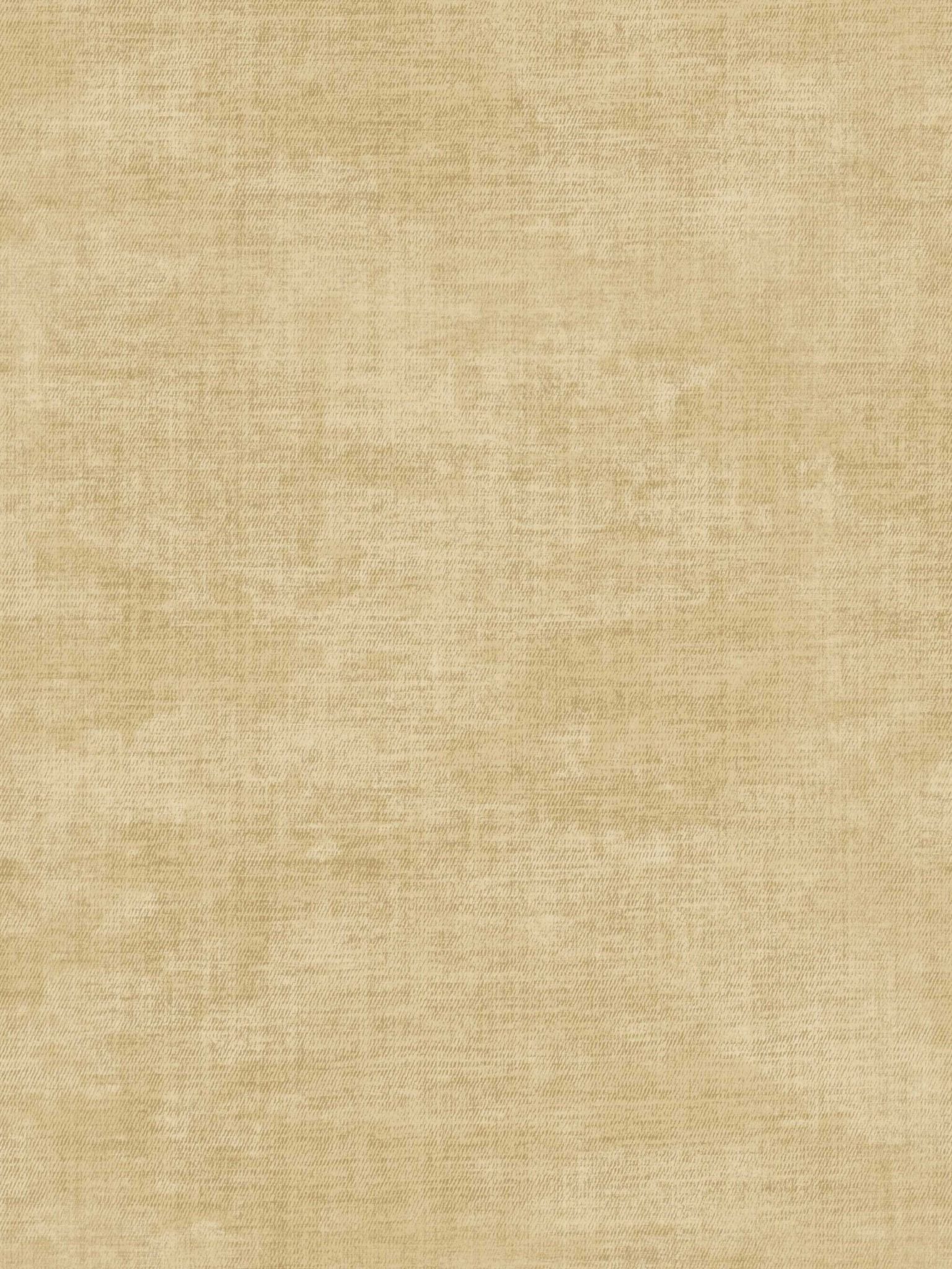  TEX 275507 