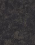  VO 419160197 