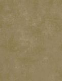 VO 419162333 