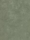 VO 419162469 